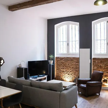 Warm T3 Loft Style In The Heart Of Apartment Toulouse